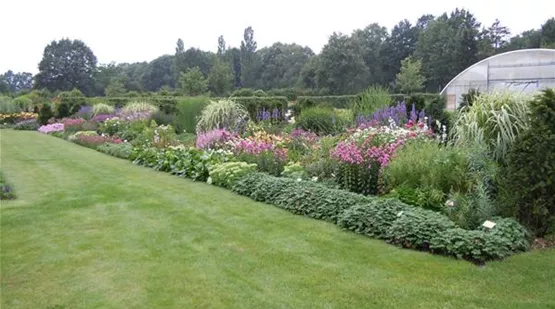 Garten Stauden Ansicht.jpg